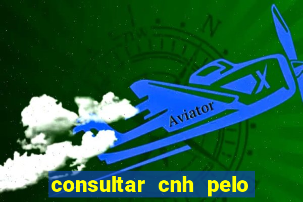 consultar cnh pelo cpf sp